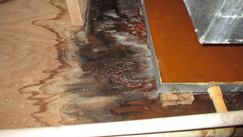 Wasserschaden in Düsseldorf - Rohrfrei - Klempner - Rohrreinigungsdienst - Notdienst - Rohrbruch uvm.